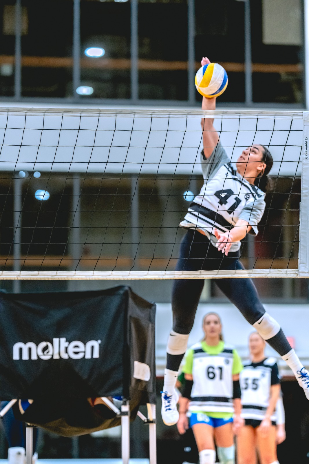 A player in a gray and white top reaches overhead for the ball.