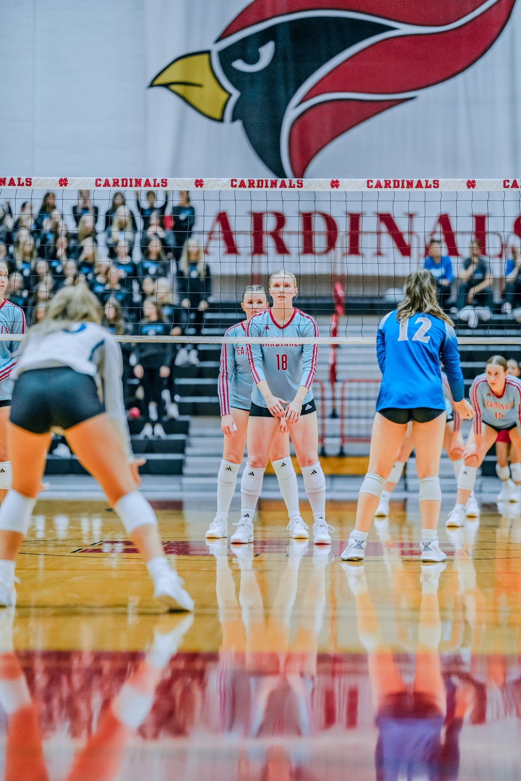 A player in gray and red stands with hands ready. A player in blue stands with hands ready.