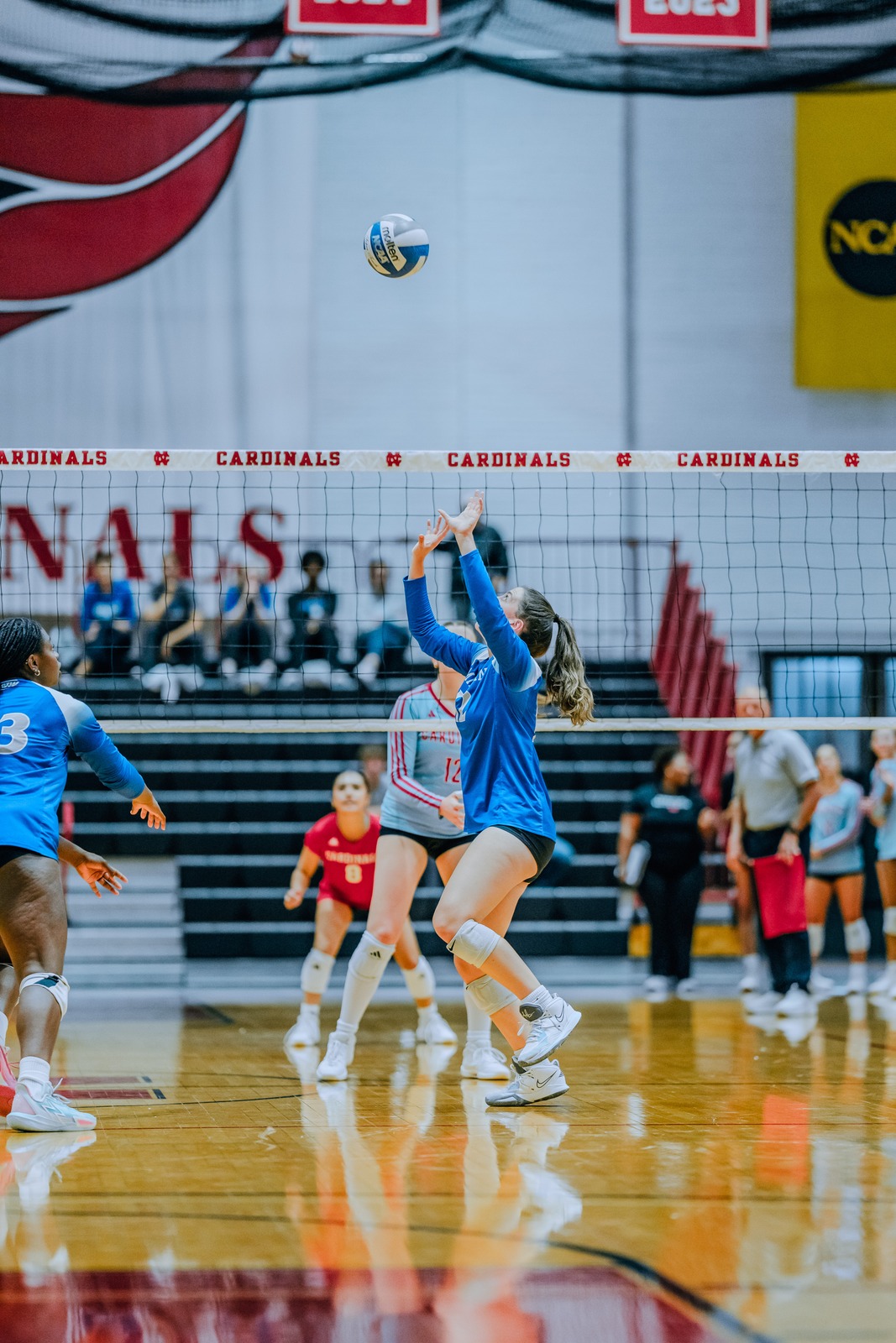A player in blue reaches overhead for the ball.