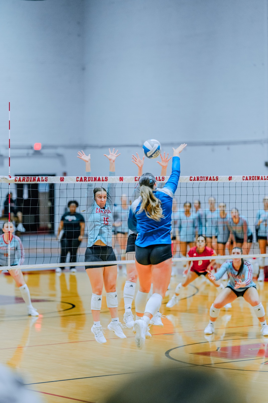 A player in blue reaches overhead for the ball while other players jump near the net.
