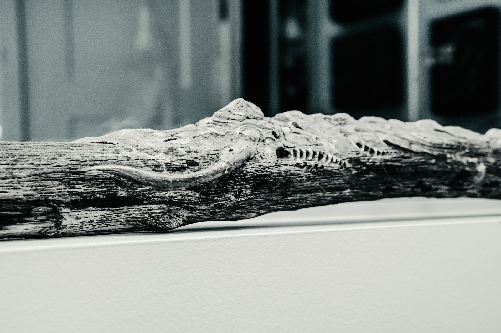 A detailed view of carved driftwood.