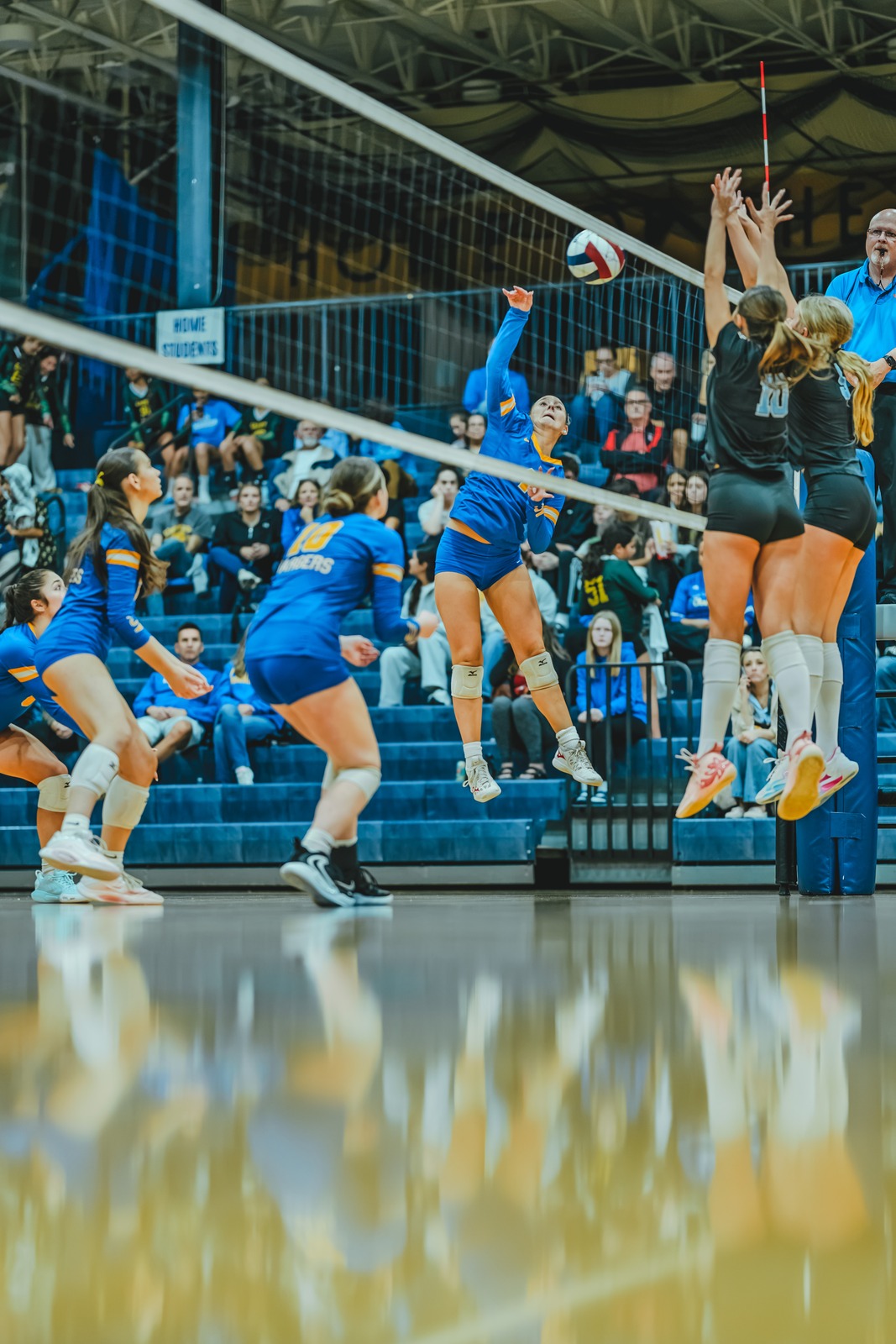 A player in blue jumps and hits the ball over the net while players in black jump to block.